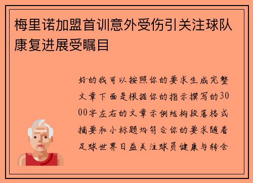 梅里诺加盟首训意外受伤引关注球队康复进展受瞩目 梅里诺加盟首训意外受伤引关注球队康复进展受瞩目